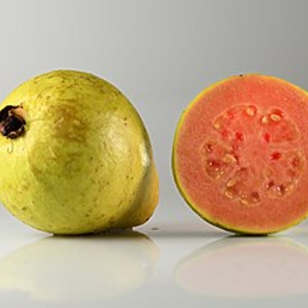 Allahabad Guava