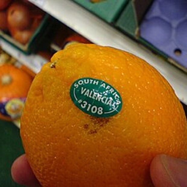 Valencia Orange