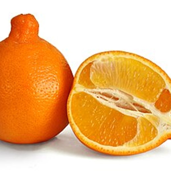 Mineola Tangelo