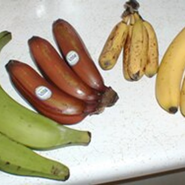 Red Dacca Banana