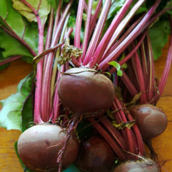Beetroot