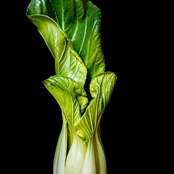 Bok Choy