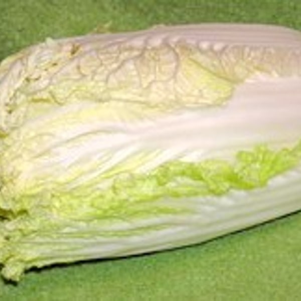 Chinese Cabbage