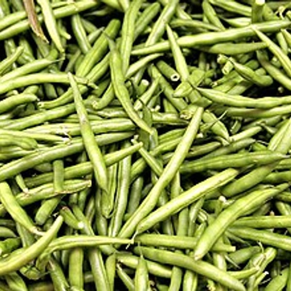 French Beans