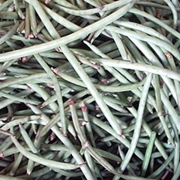 Cowpea Pods