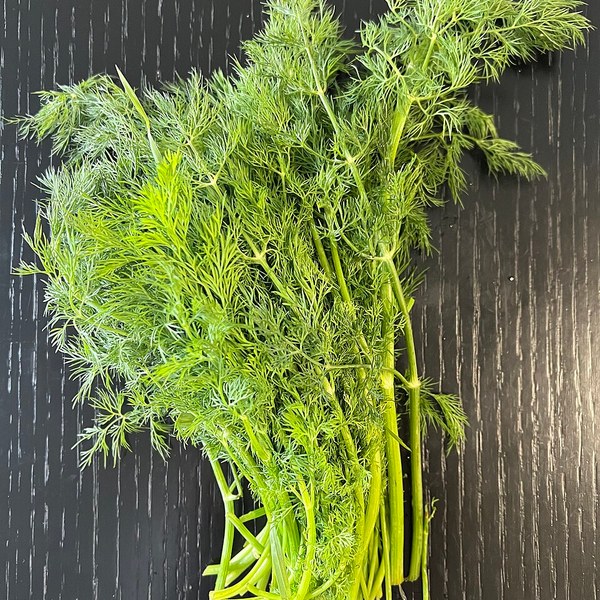 Dill Fresh