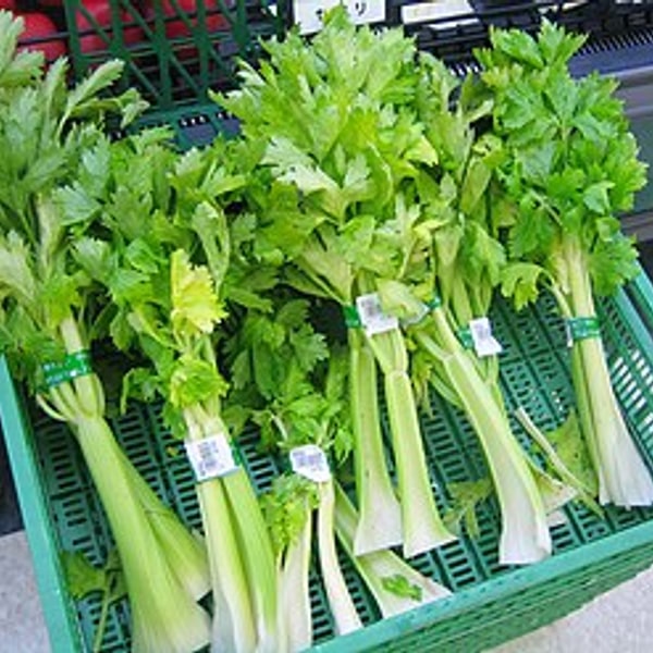 Celery Stalk