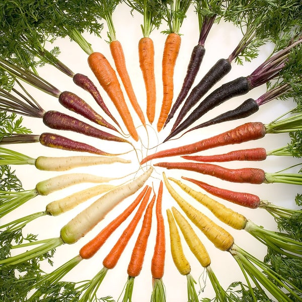Orange Carrot Glow