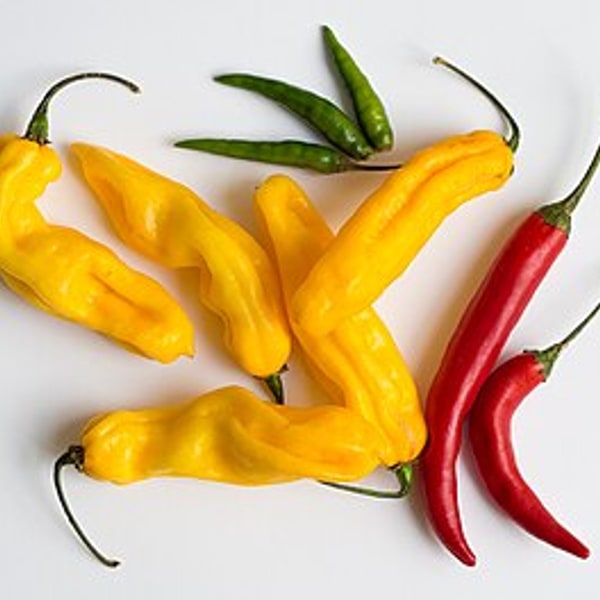 Chili Lime Ferment Kit